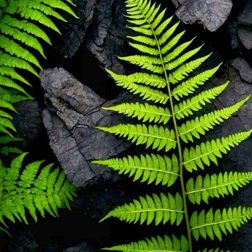 آهنگ جدید از تنم نمیره جای زخمات حالا که با همین